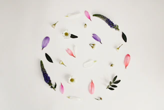 a circle of flowers and leaves on a white surface