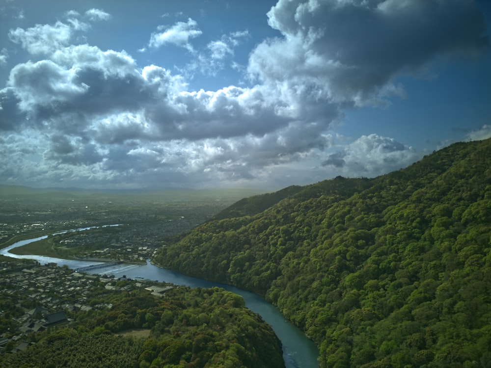 a river running through a lush green forest