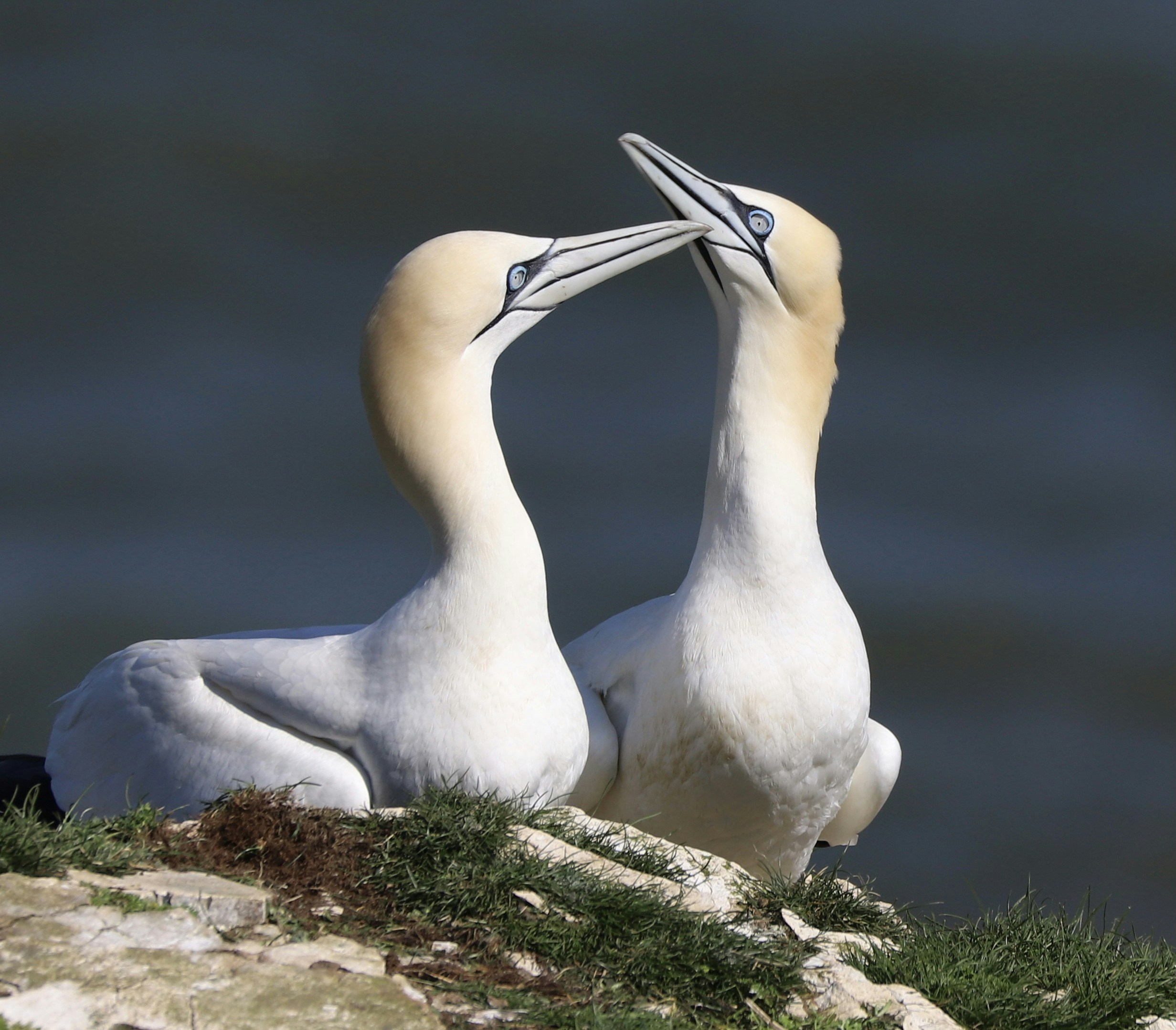 Photo by puffinadventures