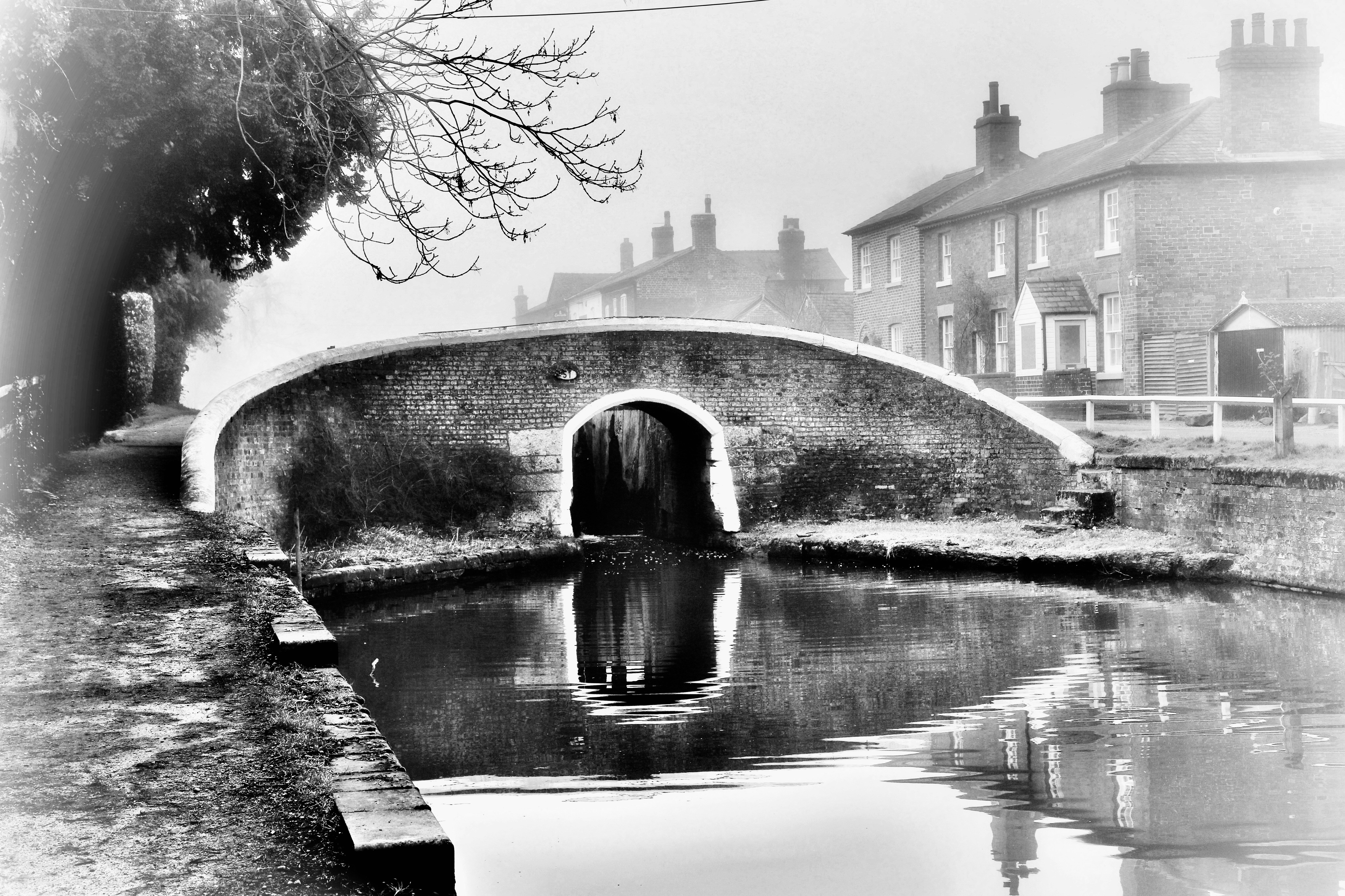 Photo by puffinadventures