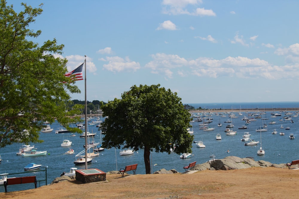 a large body of water filled with lots of boats