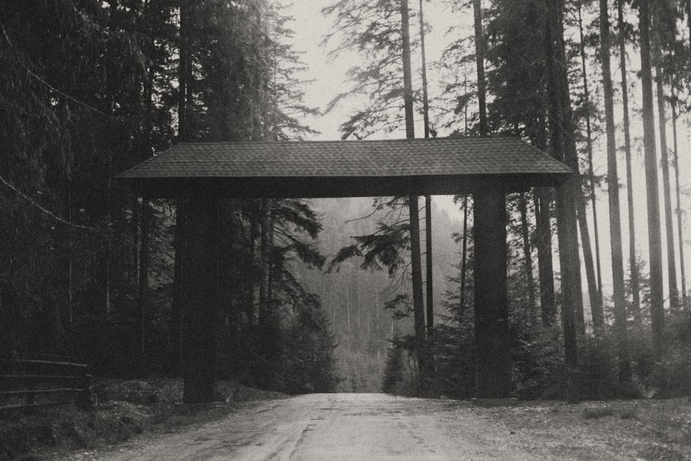 Une photo en noir et blanc d’une route dans les bois