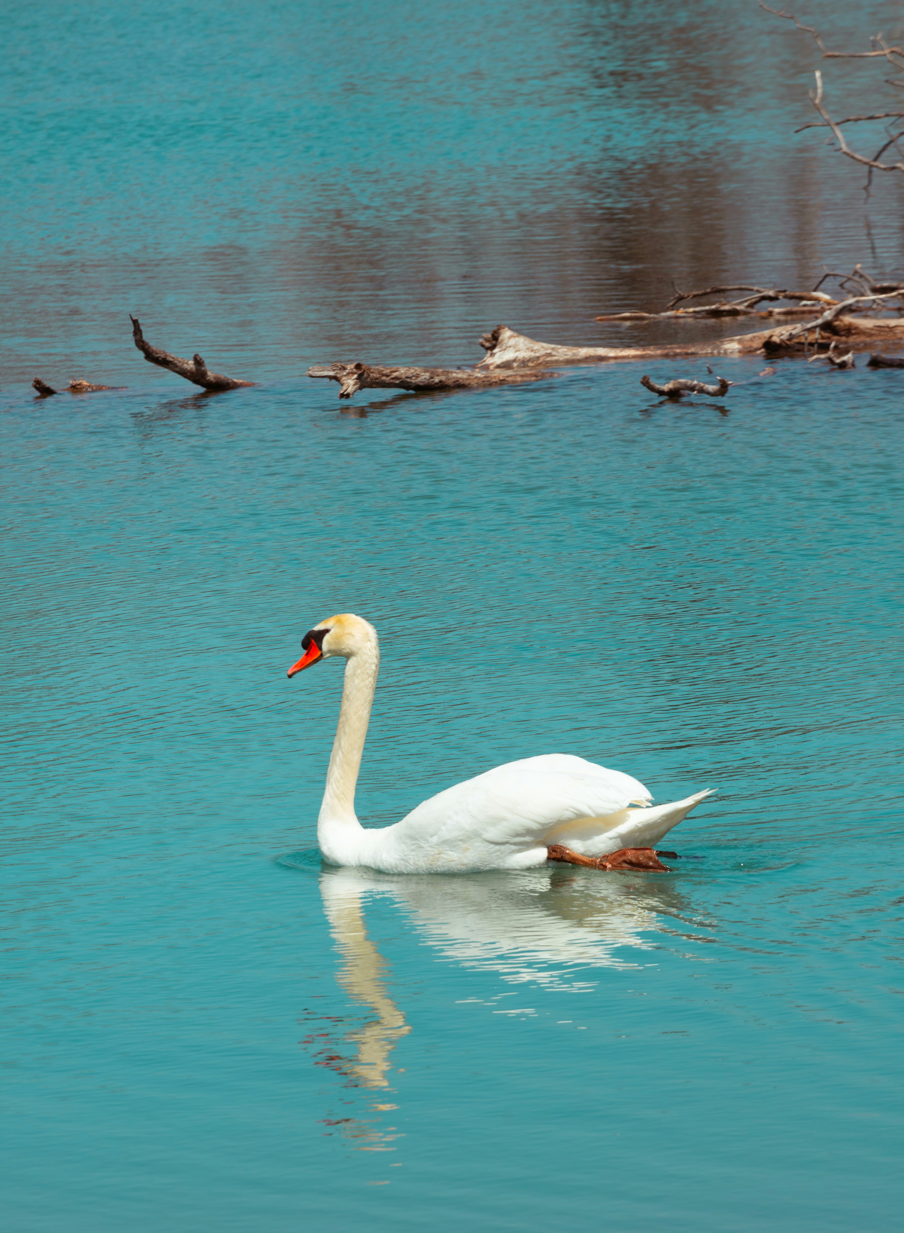 Photo by samueljdavisjr