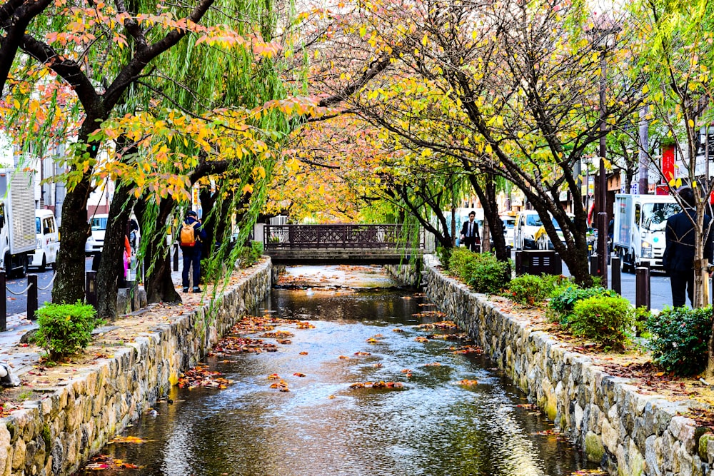 a river running through a city surrounded by trees