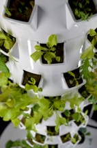 a vertical farming tower with plants growing inside of it