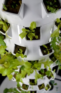 a white tower with plants growing inside of it