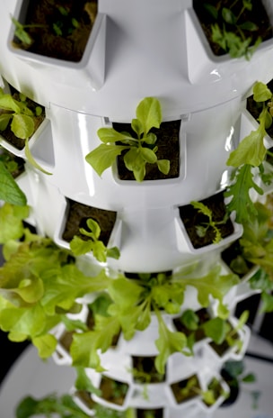 A vertical garden system with green leafy plants growing in a white modular structure. The plants are planted in small compartments stacked on top of each other, creating a tower-like appearance with lush greenery.