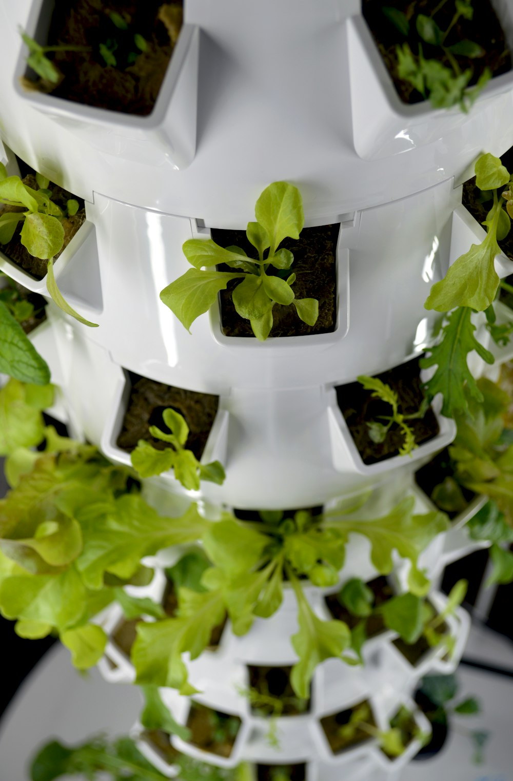 a white tower with plants growing inside of it