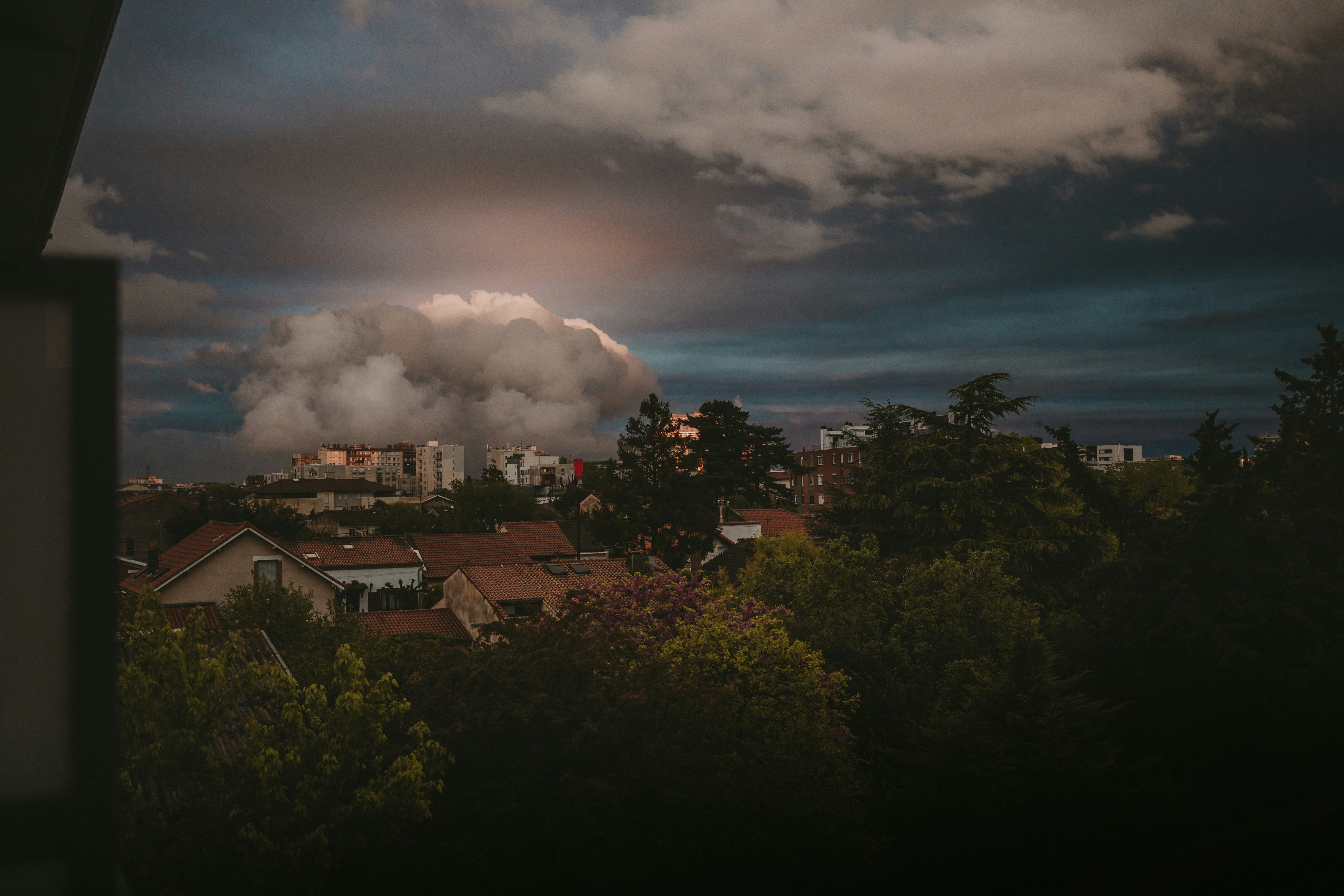 Recent Rumblings: The 2024 Boom Year (image credits: unsplash)