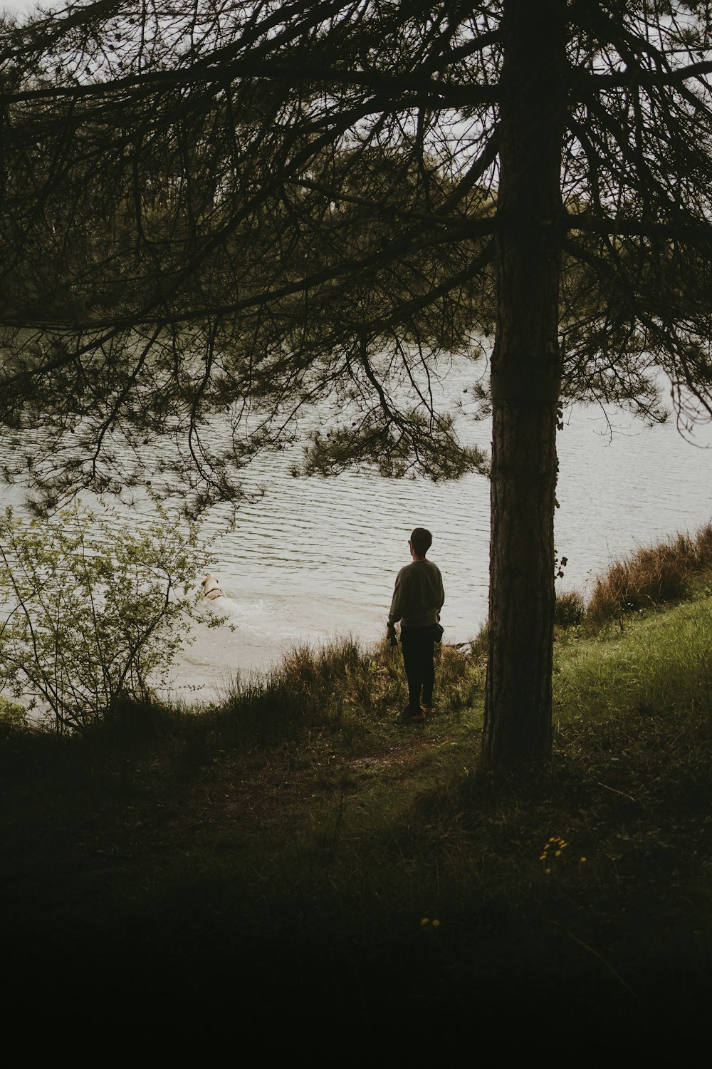 a man standing next to a tree near a body of water