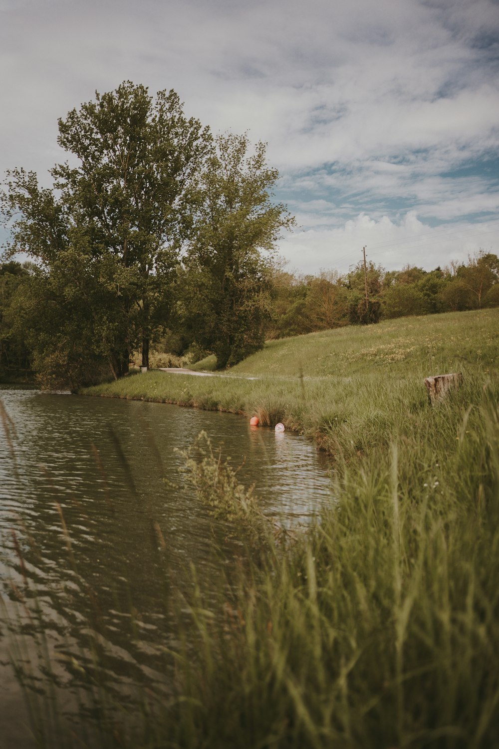 a body of water surrounded by a lush green field