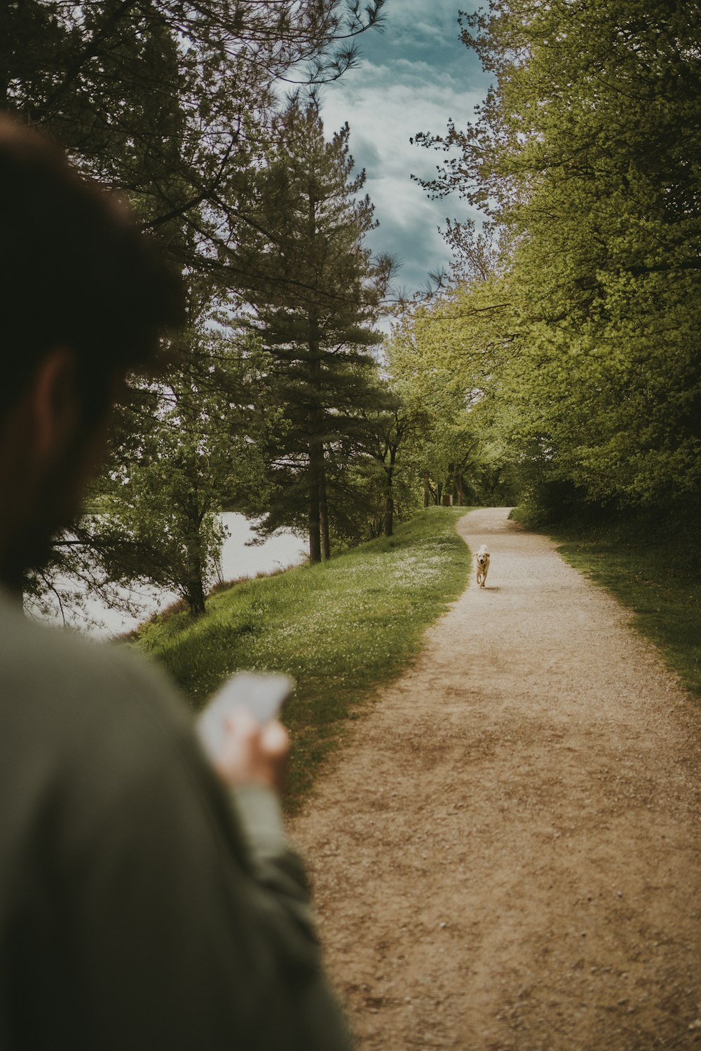 a man standing on a dirt road next to a forest