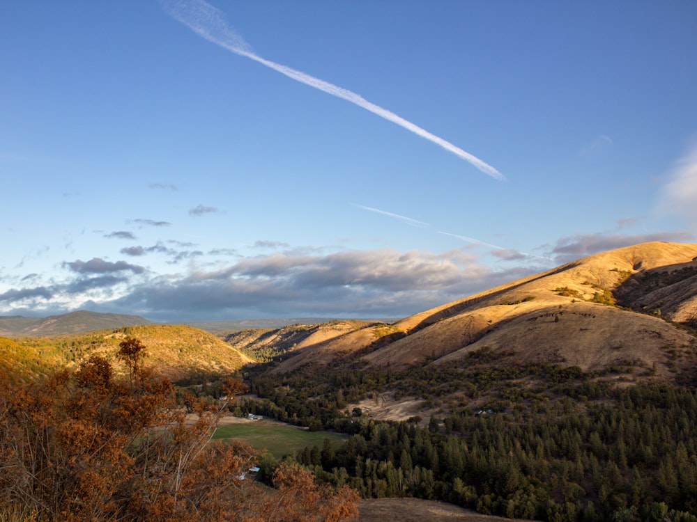 a view of a valley with trees and hills in the background