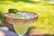 A cocktail glass filled with a chilled drink garnished with a slice of lime. The rim of the glass is coated with chili powder, and there are ice cubes within the liquid. The background shows a blurred, lush green environment, suggesting an outdoor setting.