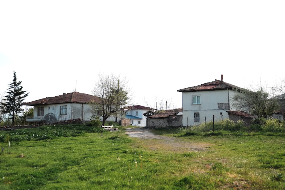 a couple of houses sitting on top of a lush green field