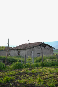 A rustic farmhouse surrounded by lush greenery and farming tools.