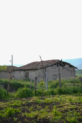 A rustic, weathered house with a tiled roof sits surrounded by lush greenery and a rural landscape. Wooden posts and wire fencing are visible alongside an overgrown garden.