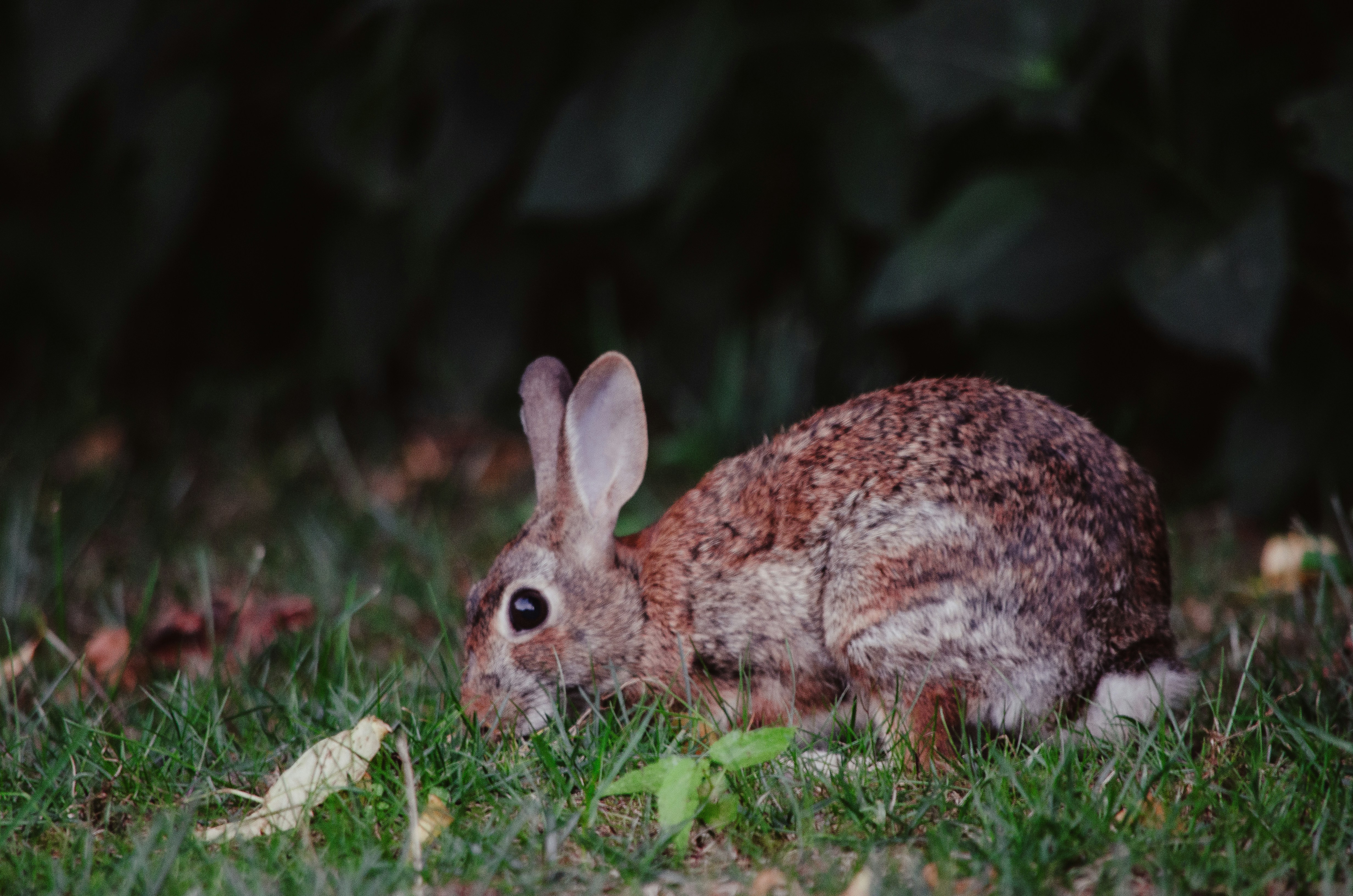 Photo by ch_landingin