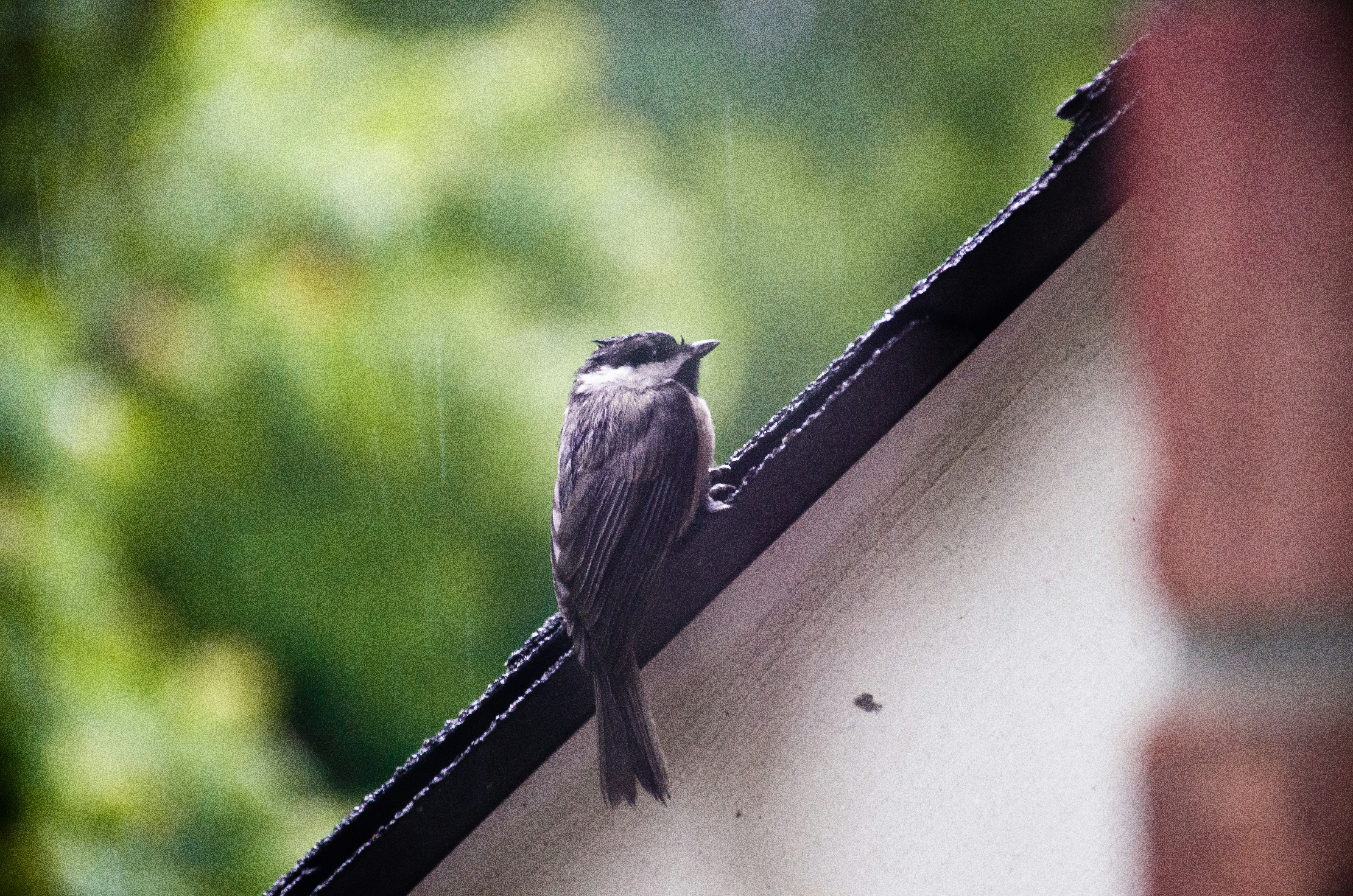 Photo by ch_landingin