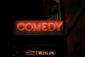 A neon sign displaying the word 'COMEDY' glows brightly against a dark background. Below this, a banner advertises 'Madagascar the Musical' with the words '2 Weeks Only' highlighted. The scene suggests a theater or comedy club setting at night.