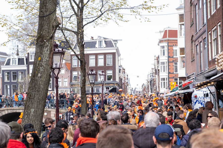 A Hot Summer of Tractors: Why the Netherlands’ New Nitrogen Plan is Triggering Rural Revolt