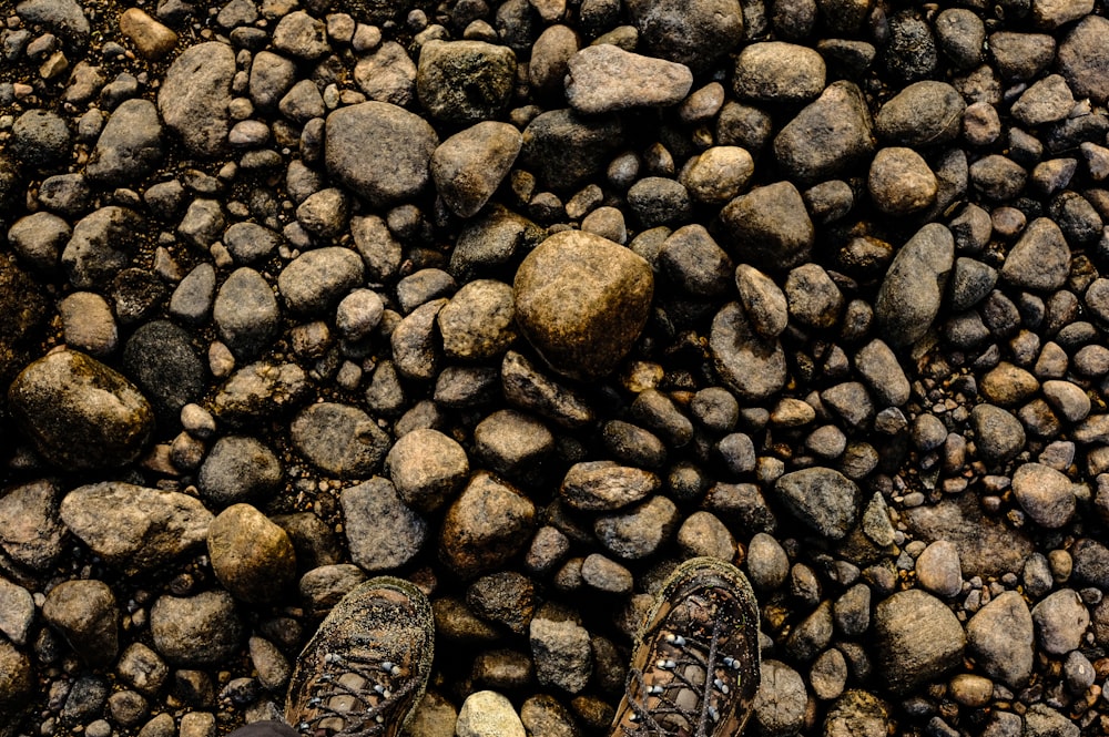 a pair of shoes sitting on top of a pile of rocks