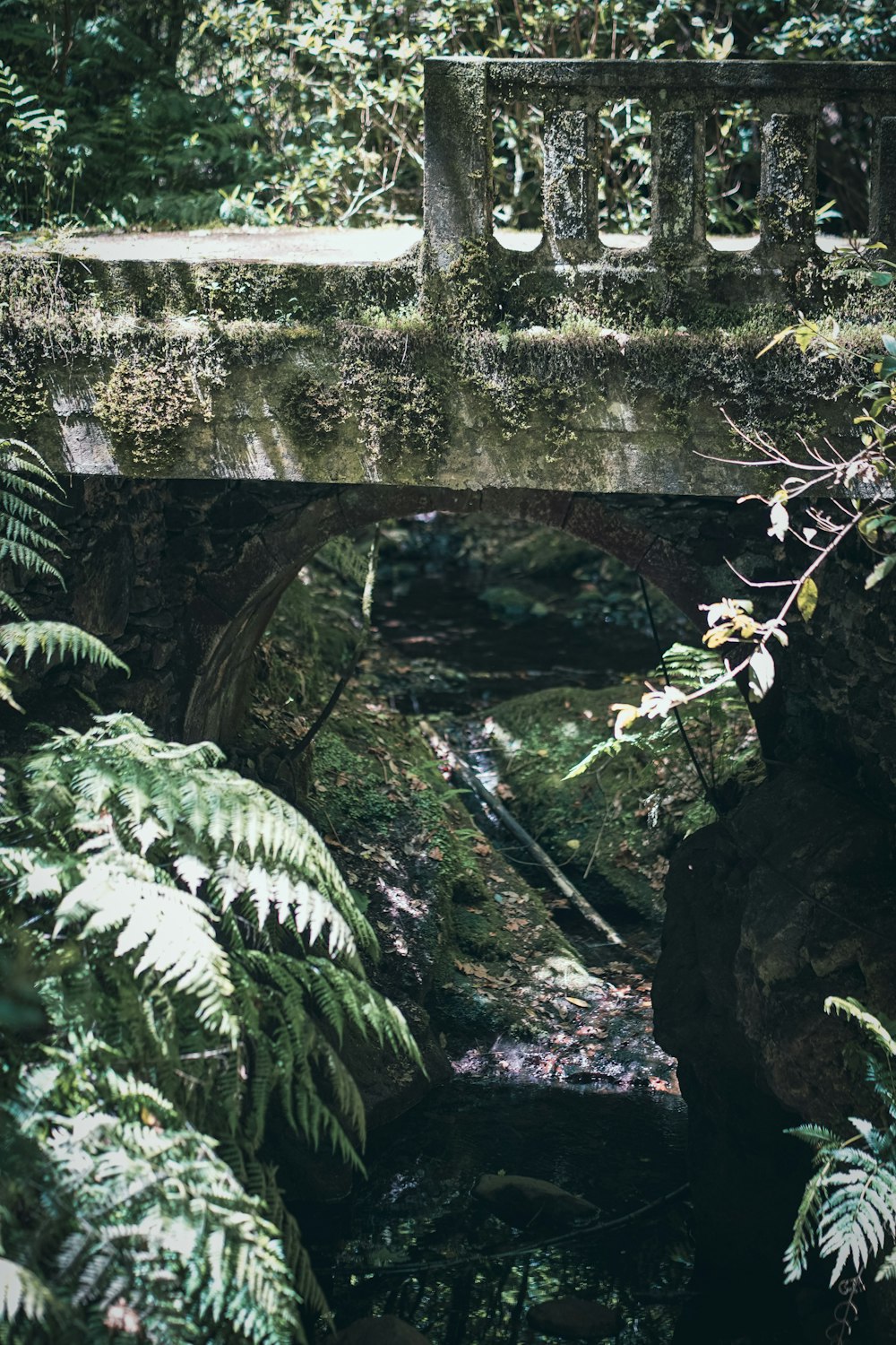 a stone bridge over a stream in a forest