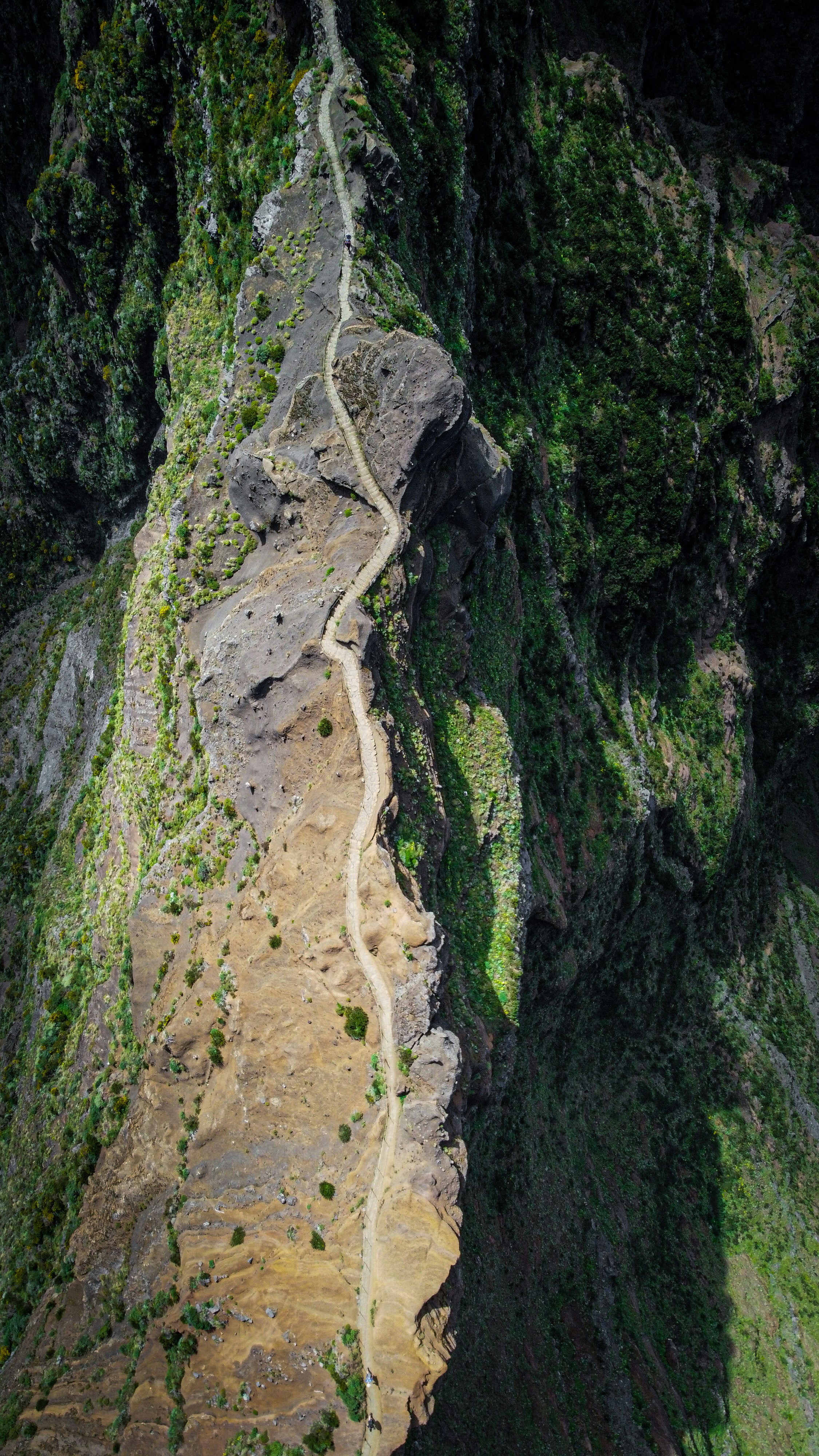 Una vista aérea de una carretera sinuosa en las montañas