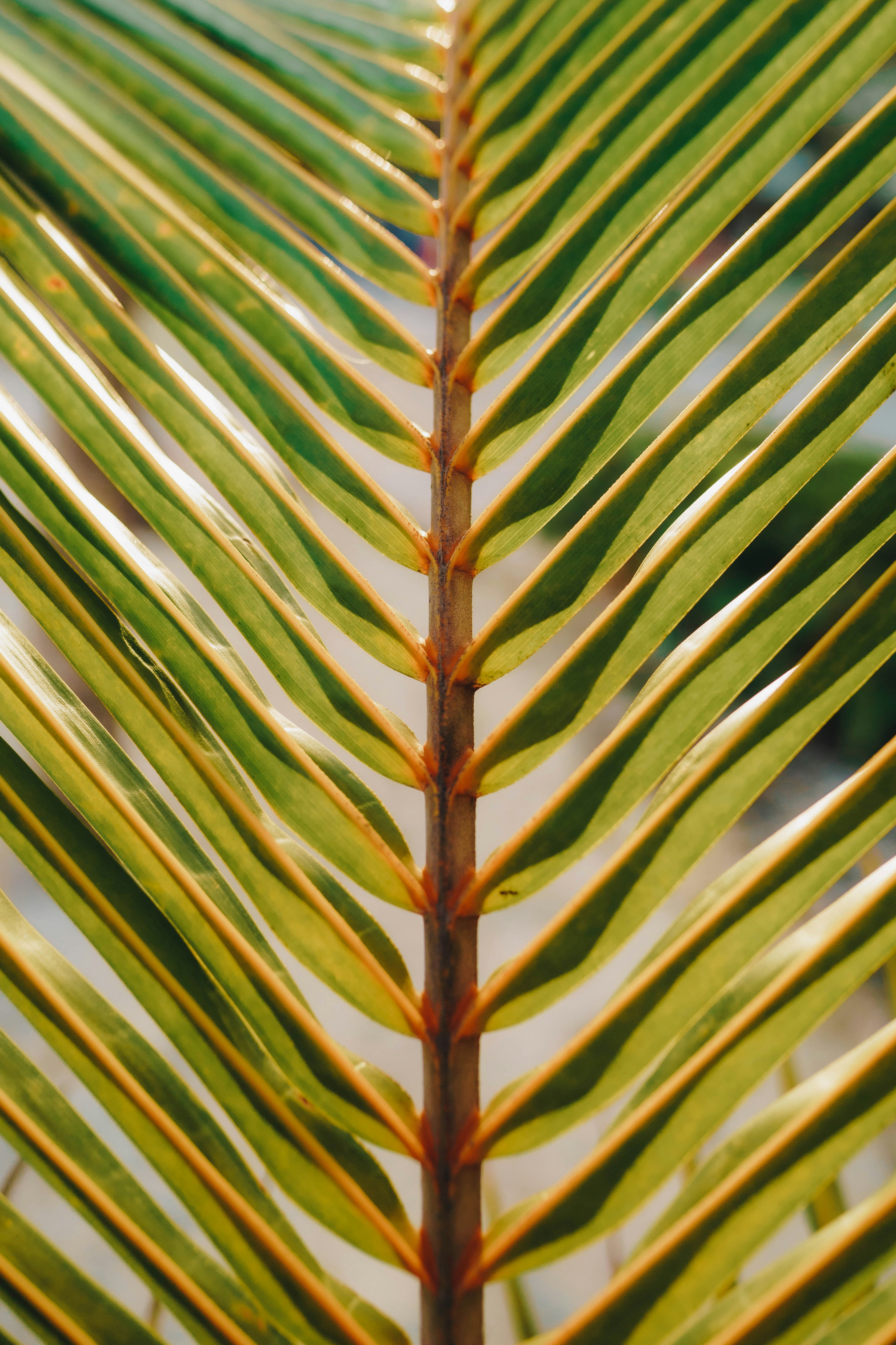 Photo by joellseverino