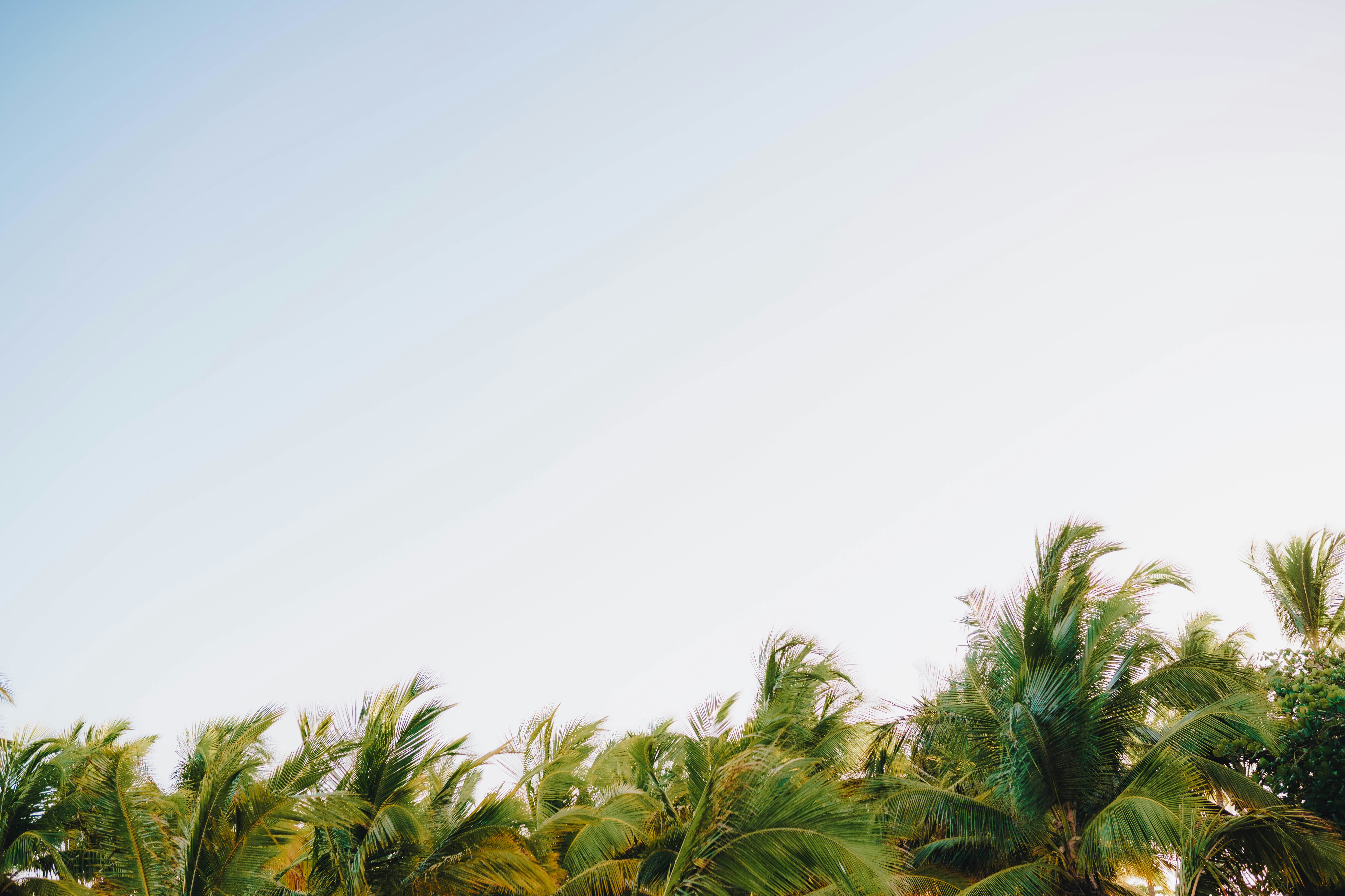 Photo by joellseverino