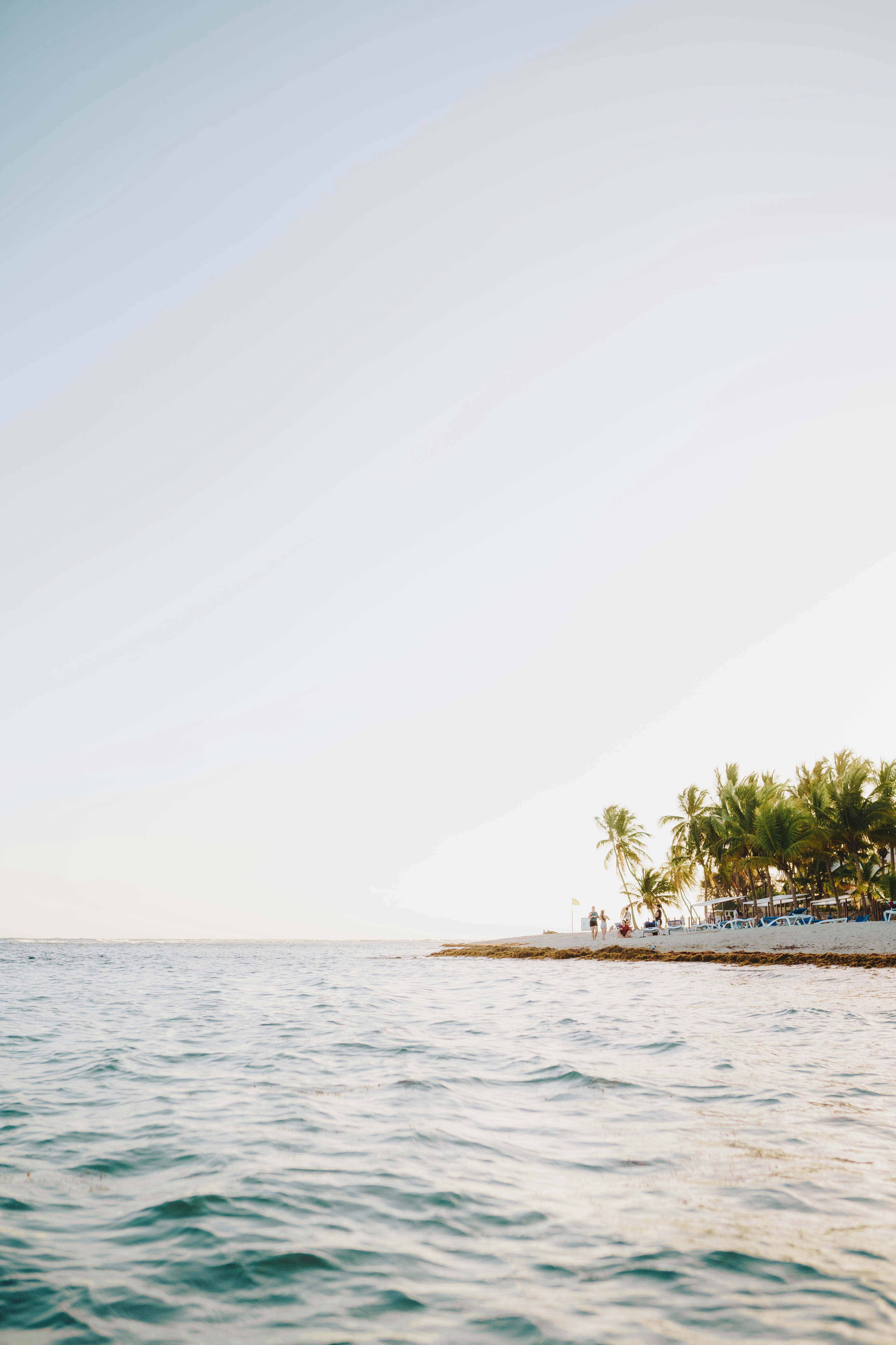 Photo by joellseverino