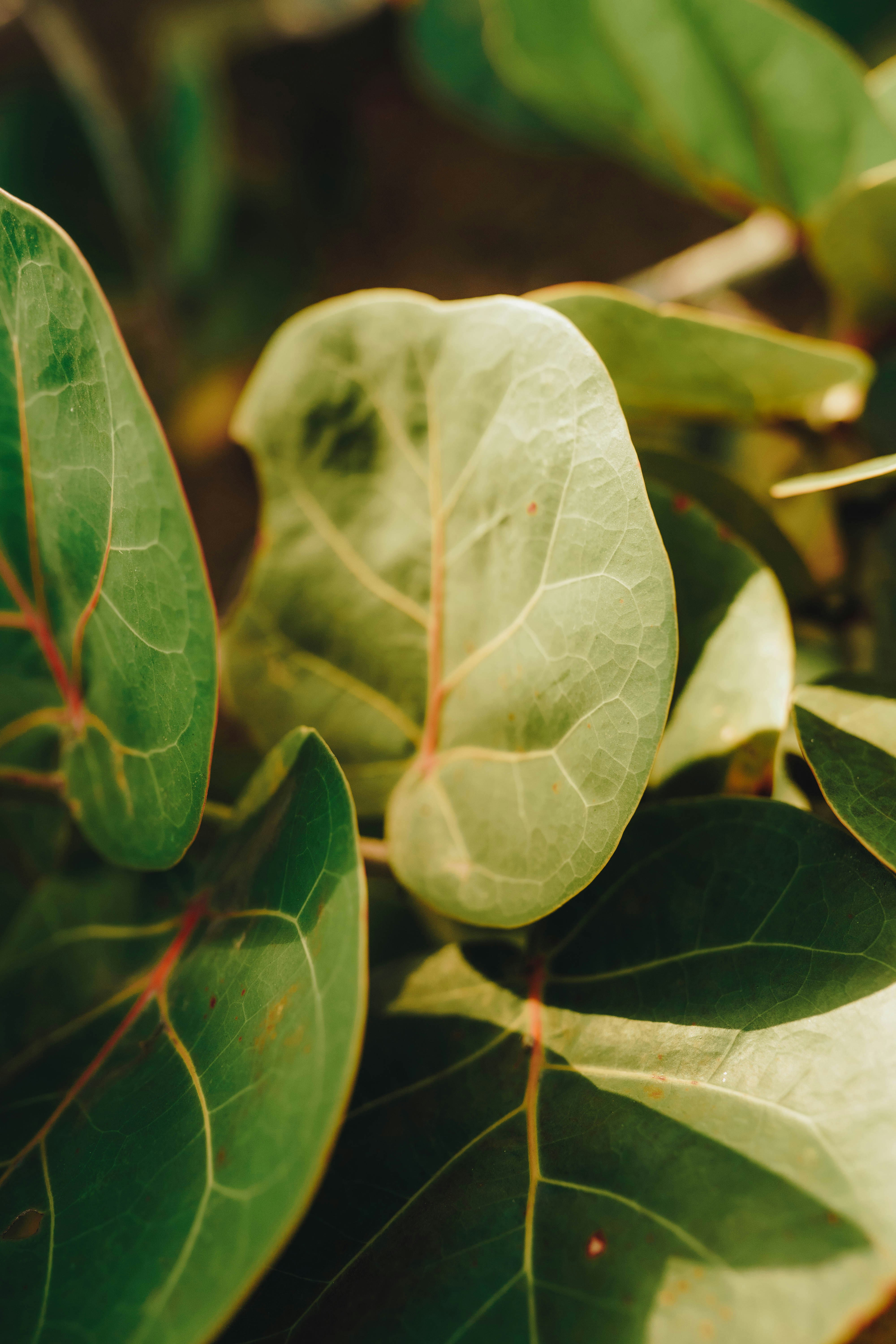 Photo by joellseverino