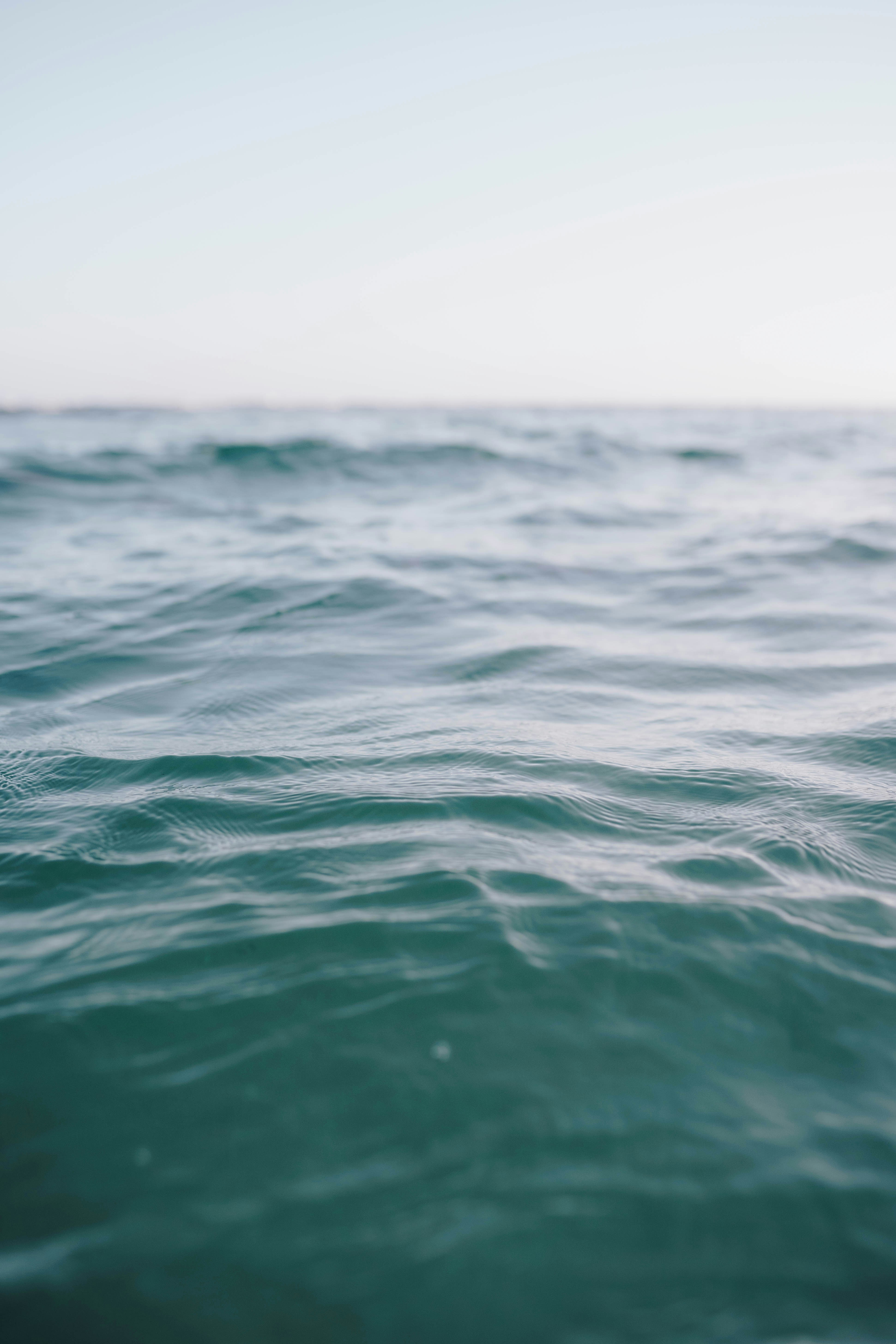 Photo by joellseverino