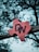 A rusty red metal sign in the shape of Texas is mounted on a wooden beam, with the letters 'DW' prominently attached. The background is a bokeh of tree branches and leaves, creating a textured and atmospheric setting.