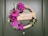 A decorative wreath is displayed on a green door, featuring vibrant purple flowers and green leaves surrounding a beige sign that reads 'Ramadan Mubarak' with star and crescent motifs. Pearls are strung along one side, adding a touch of elegance.