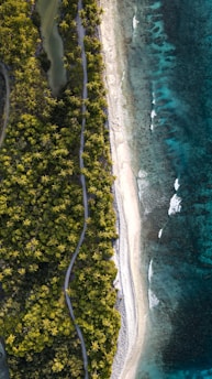 Aerial view of Palm Coast’s coastline with sparkling water and lush greenery.