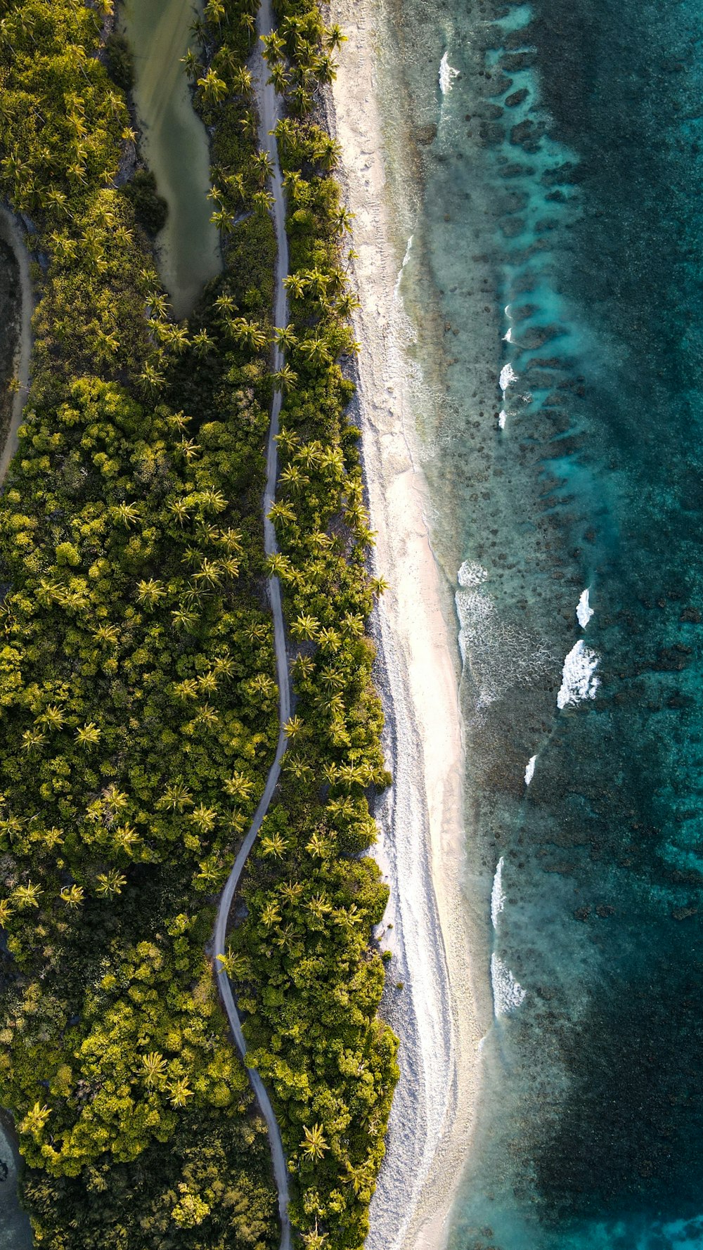 an aerial view of a beach and trees