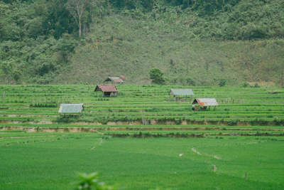 A serene landscape showing mineral-rich hills and local villagers tending to their land.