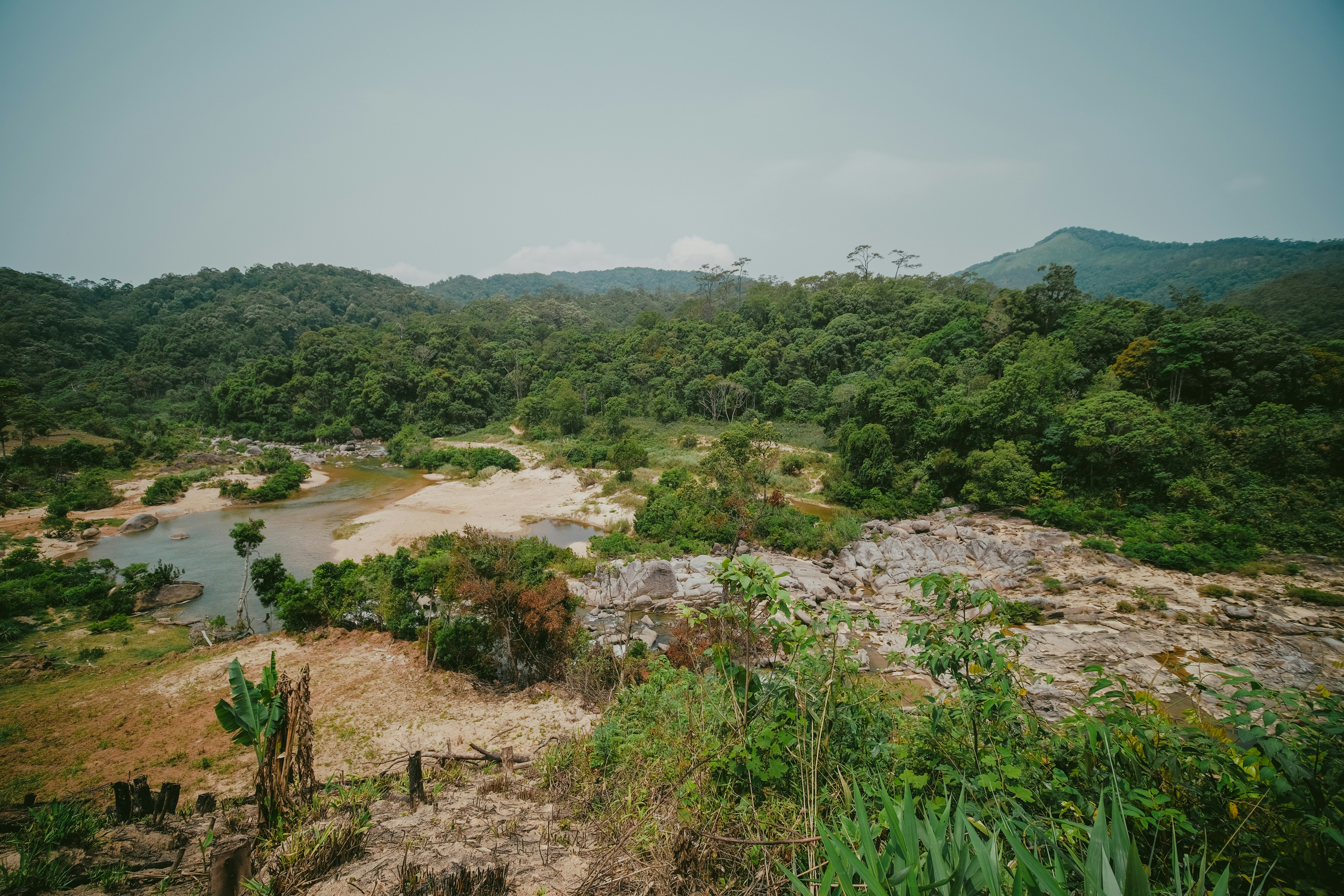 Photo by nguyentrungnguyen