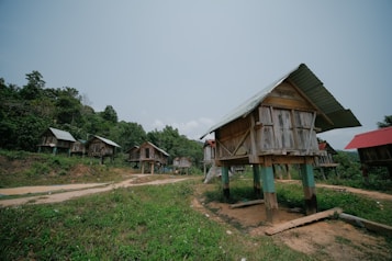 Several rustic wooden huts are raised on stilts in a rural, forested area. The huts have corrugated metal roofs, some of which are slightly rusted. A dirt path winds through the grassy landscape. Dense trees and greenery border the scene, suggesting a secluded, natural environment.