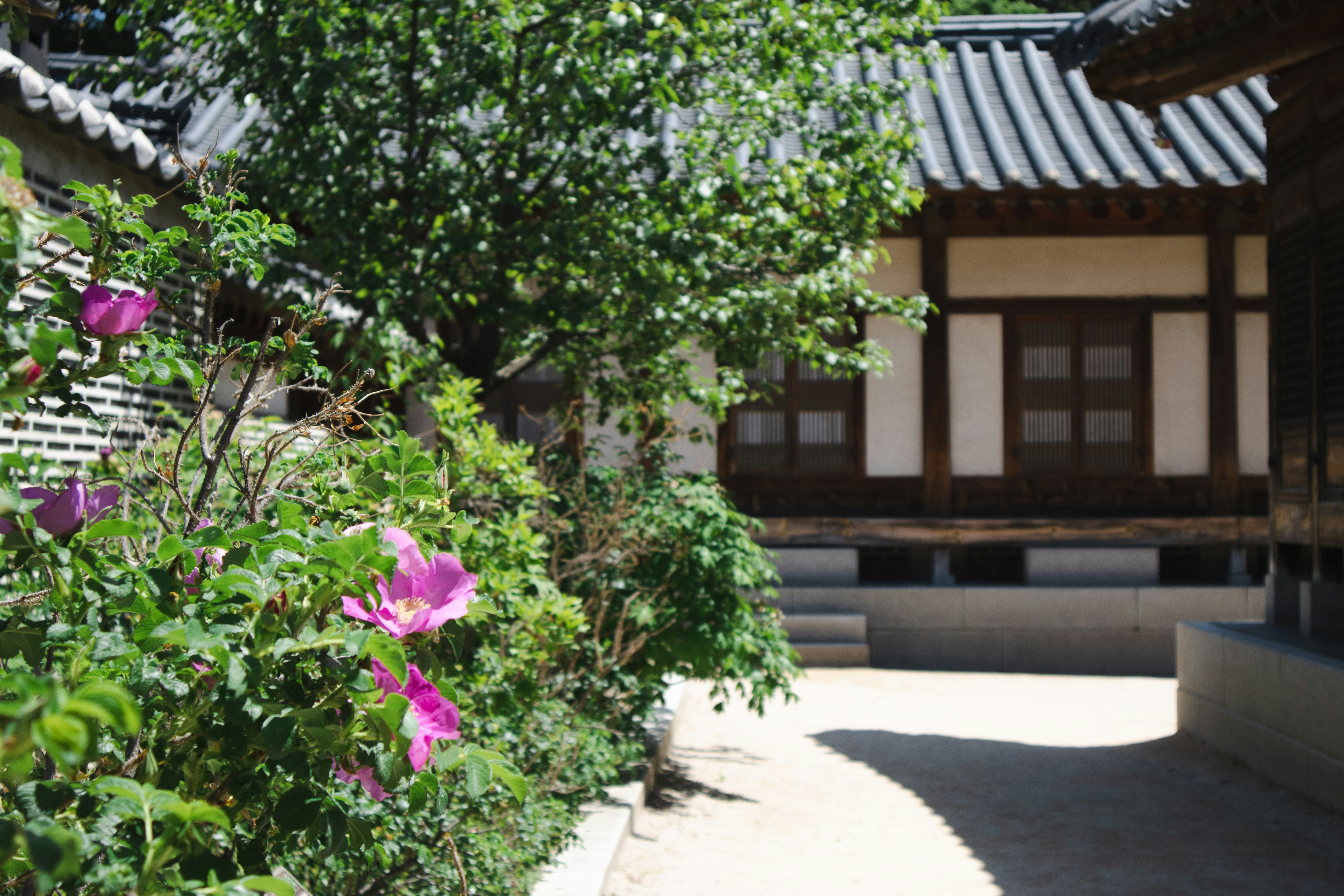 Photo by seoul_lover_lily