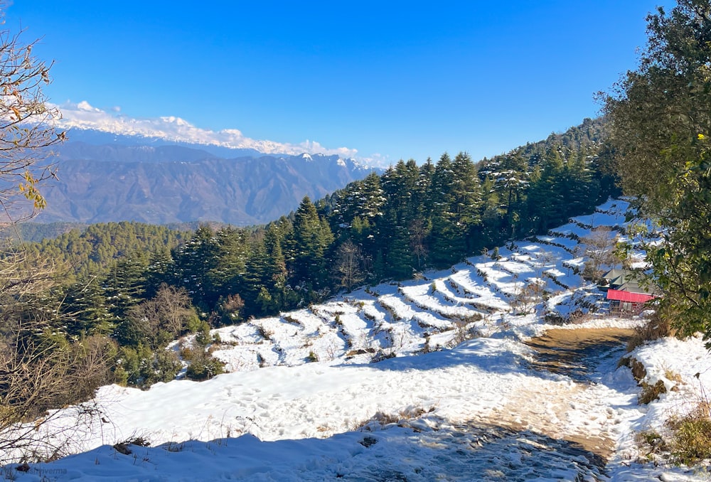 a snow covered mountain with a red bench in the foreground