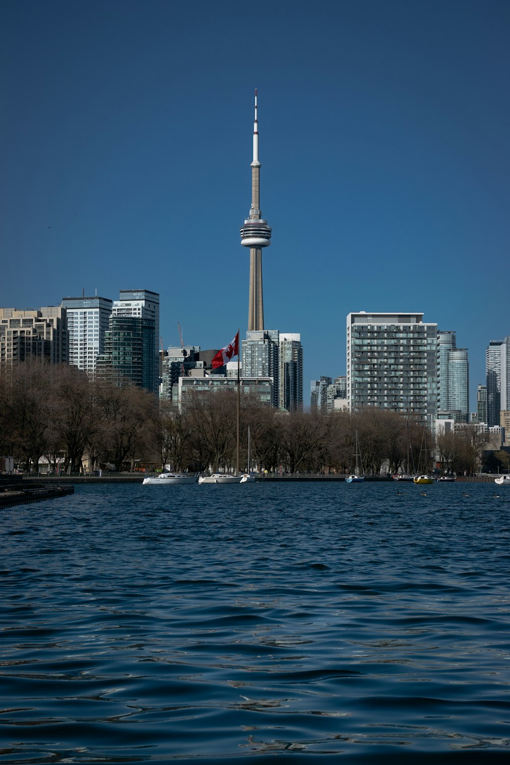 a large body of water with a city in the background