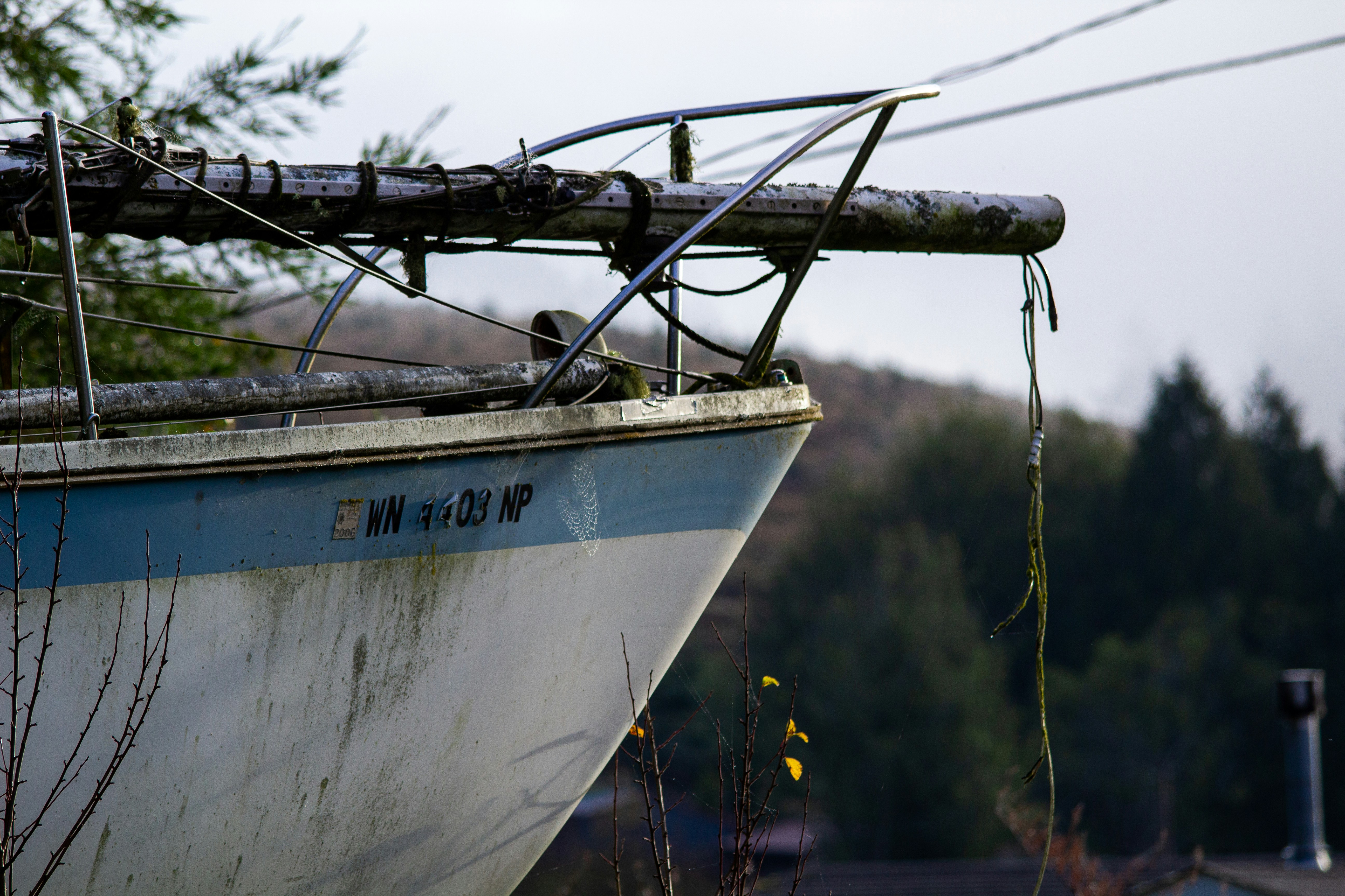 Ein blau-weißes Boot, das auf einem grasbewachsenen Feld sitzt