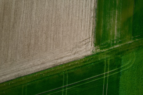 Close-up of a detailed agricultural map showing variability zones.