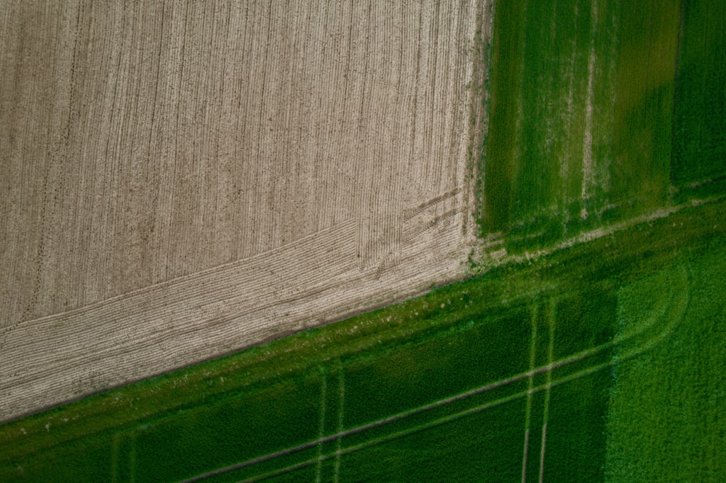 Capacitación para productores
