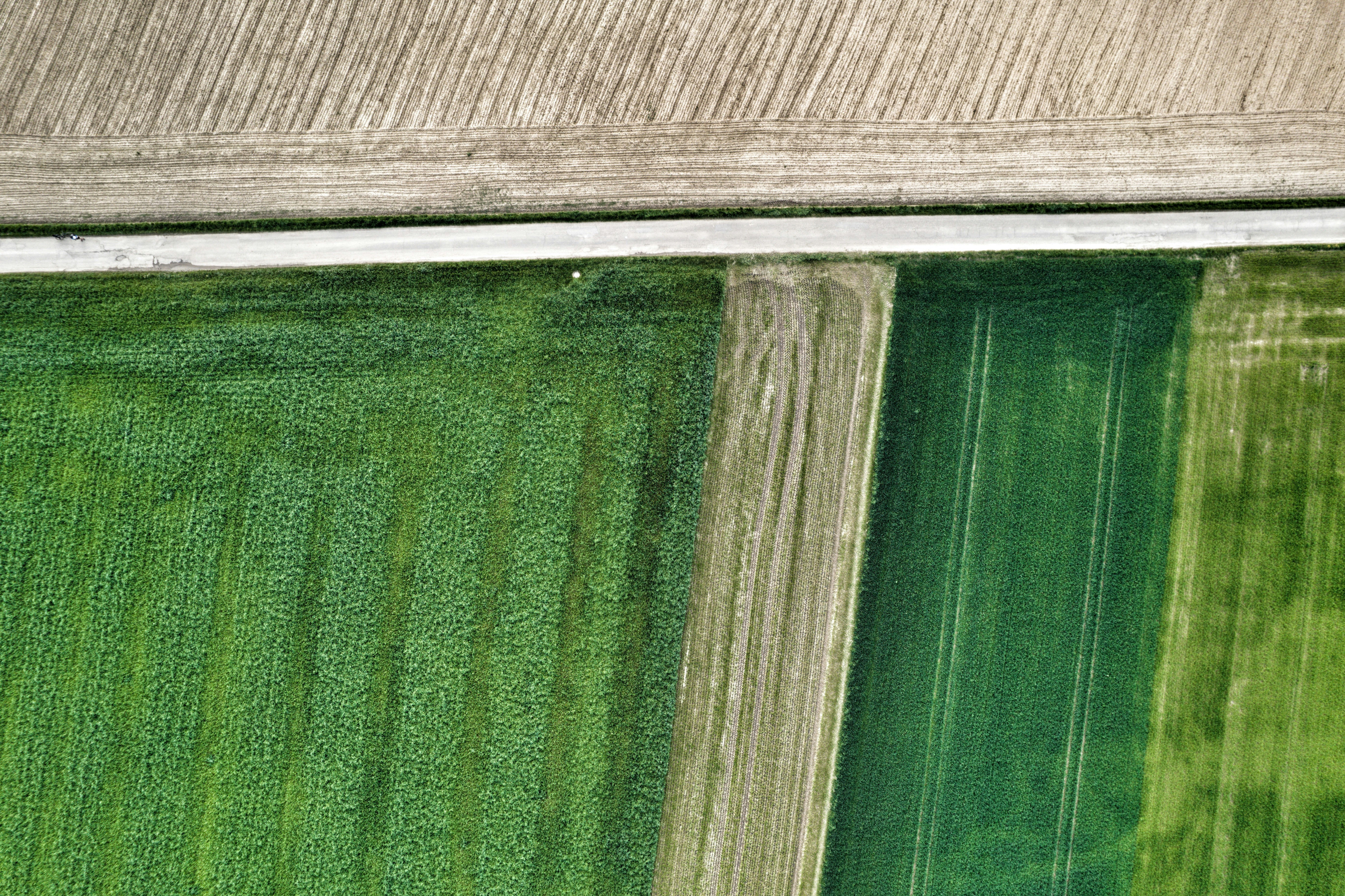 Green field aerial view