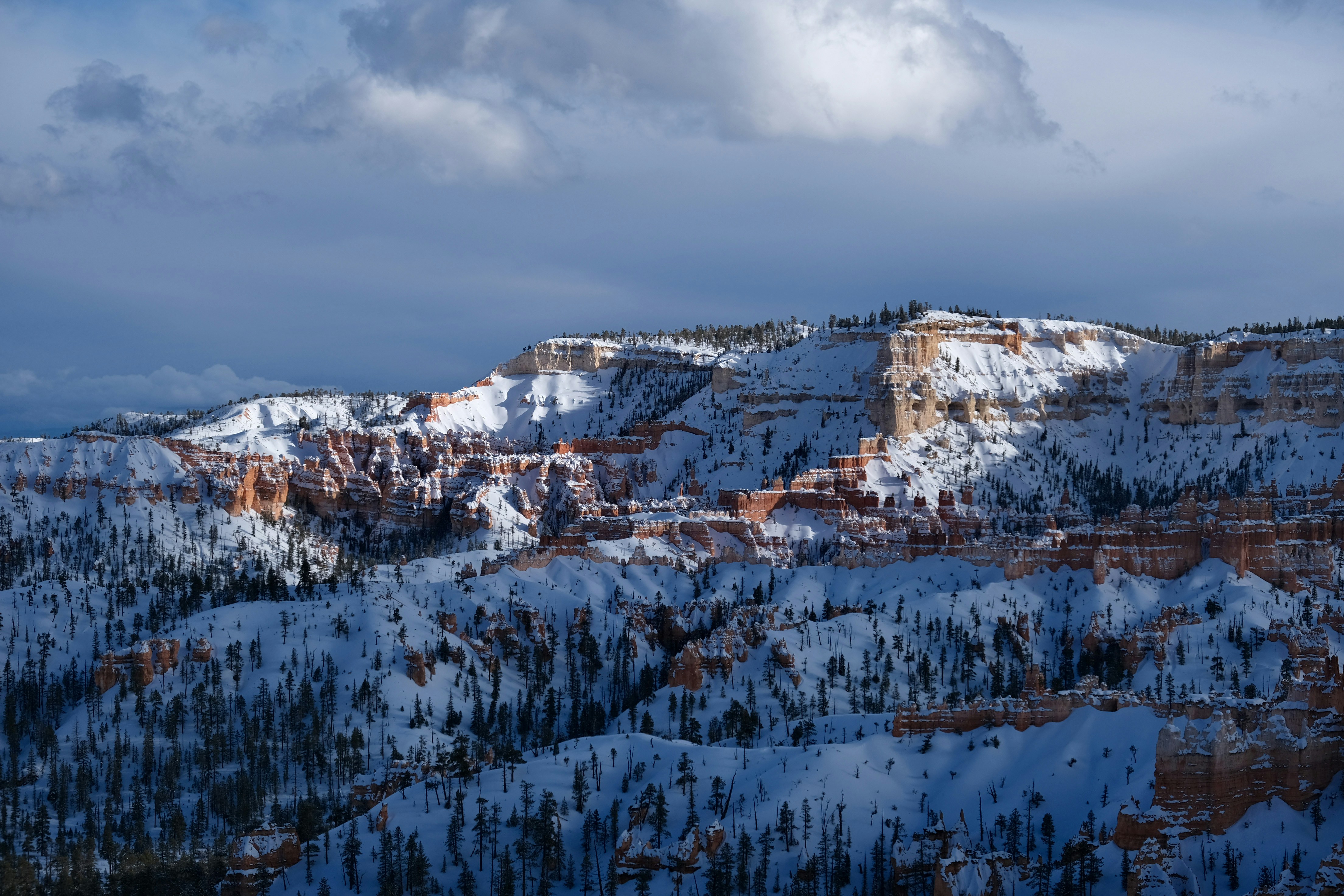 Photo by shane_keaney