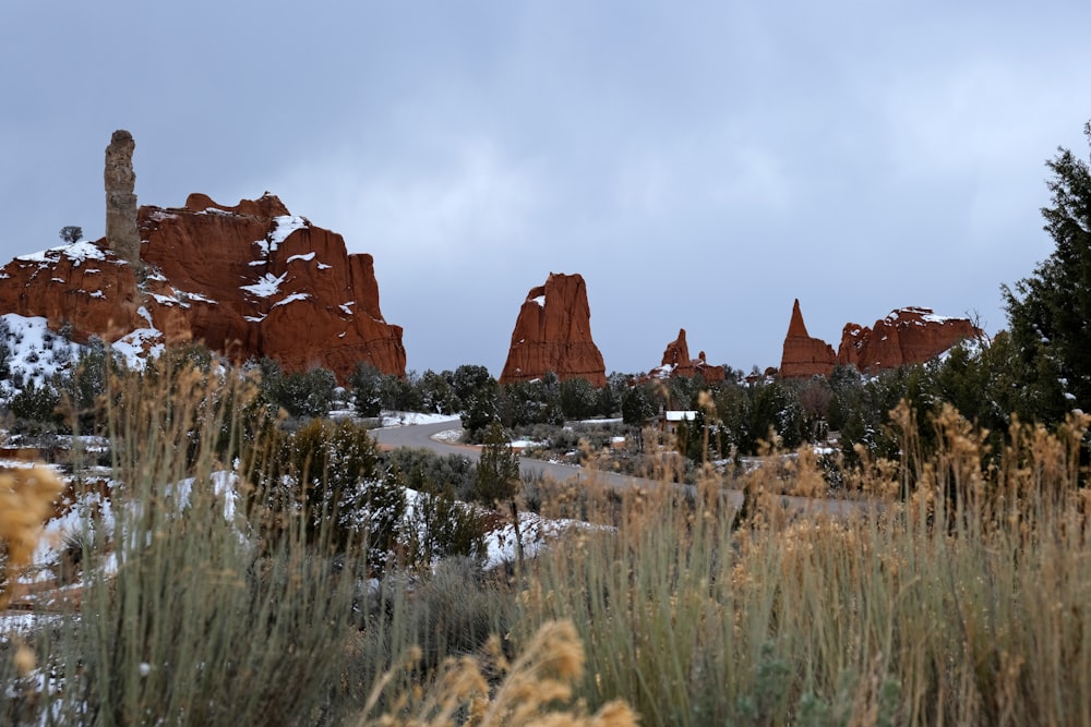 a group of rocks in the distance with trees in the foreground