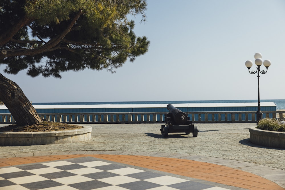 a cannon sitting on top of a bench next to a tree